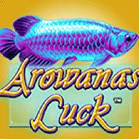 Arowana&https://belajarpenting.shop/sastoto/39;s Luck